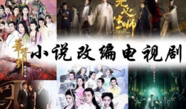 电视连续剧在线观看,揭秘热门电视剧在线观看背后的故事